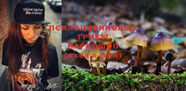молекула духа Лиски