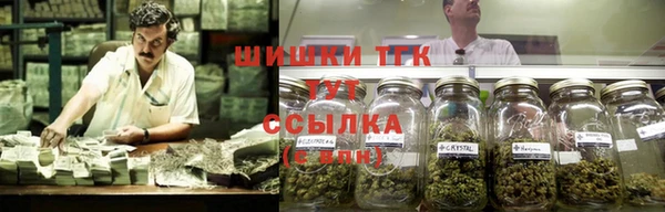 PSILOCYBIN Грязовец
