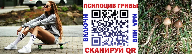 купить наркоту  Кадников  Псилоцибиновые грибы Psilocybe 